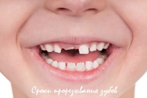 сроки прорезывания зубов