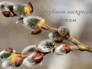 о Вербном воскресении детям