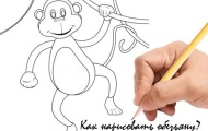 Как легко нарисовать обезьяну?